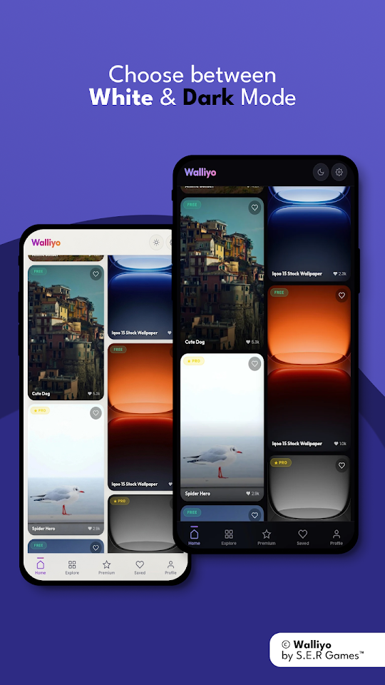 Walliyo screenshot 2